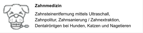 Zahnmedizin Zahnsteinentfernung mittels Ultraschall,  Zahnpolitur, Zahnsanierung / Zahnextraktion,  Dentalr�ntgen bei Hunden, Katzen und Nagetieren
