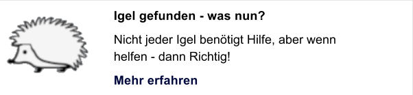 Igel gefunden - was nun? Nicht jeder Igel ben�tigt Hilfe, aber wenn helfen - dann Richtig! Mehr erfahren