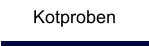 Kotproben
