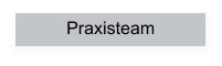 Praxisteam