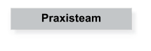 Praxisteam