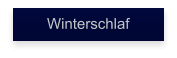 Winterschlaf